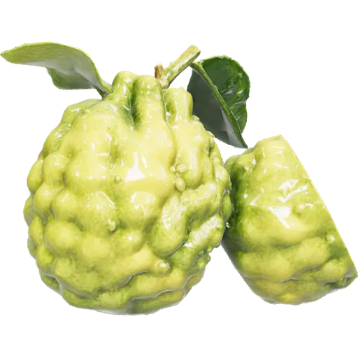 Bergamota