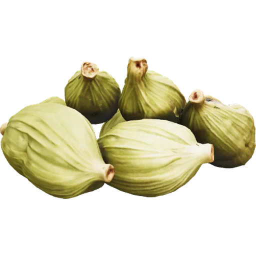 Cardamomo