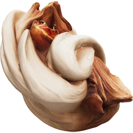 Cashmeran