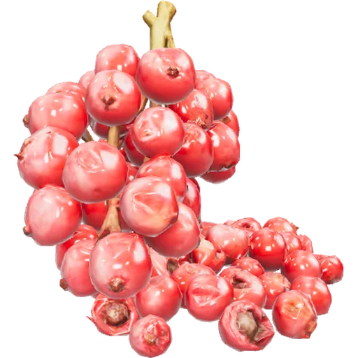 Pimenta-rosa